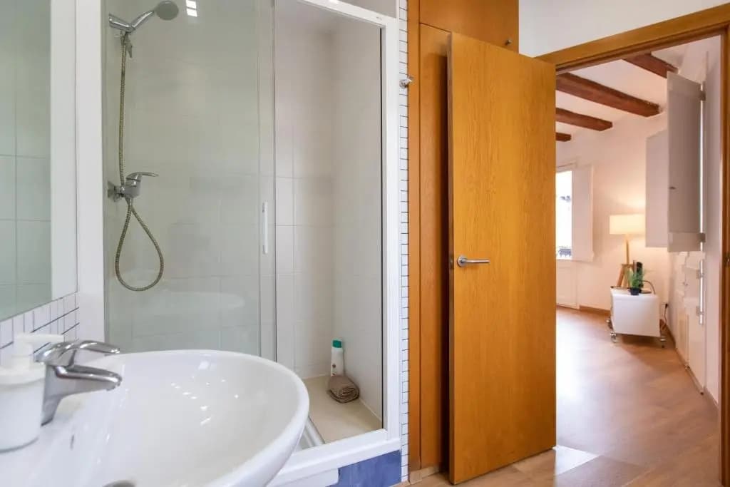Ripoll Apartments - photo 8