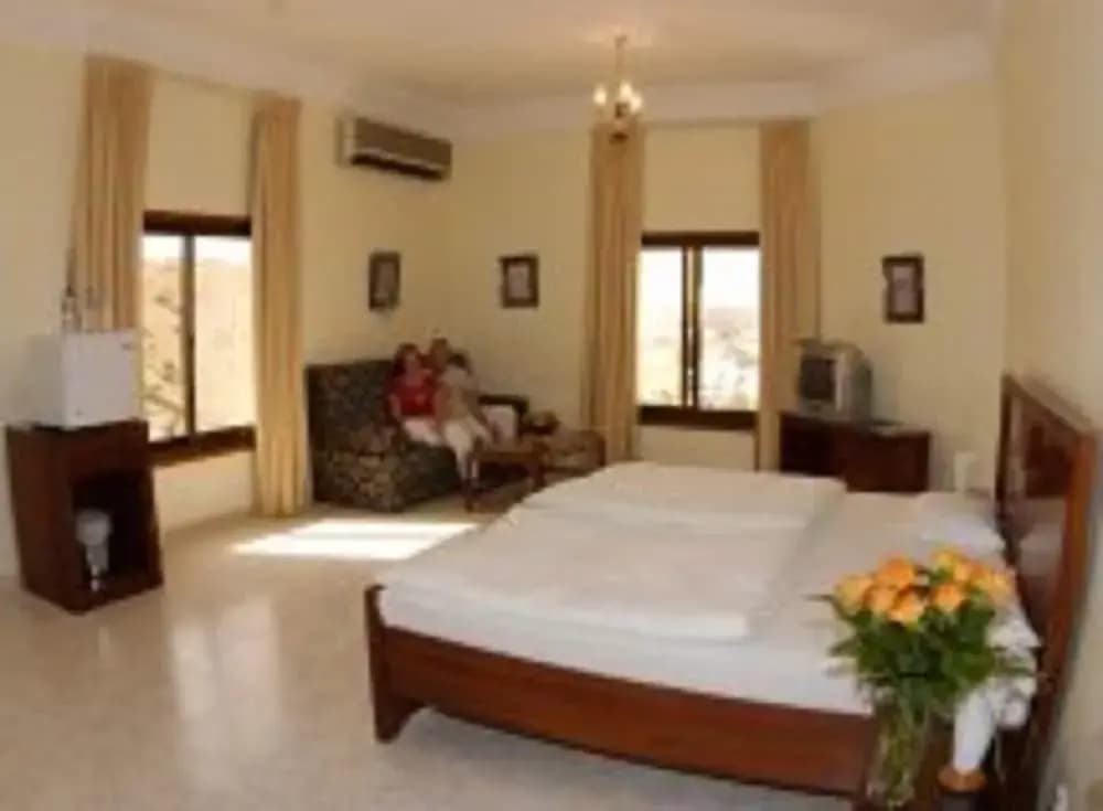 Villa Shams - photo 2