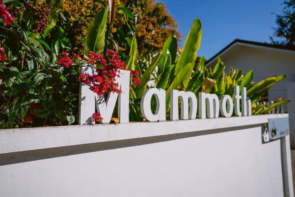 Mammoth Boutique Hotel - photo 1
