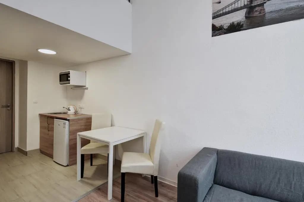 Heart Of Downtown Apartment - photo 23