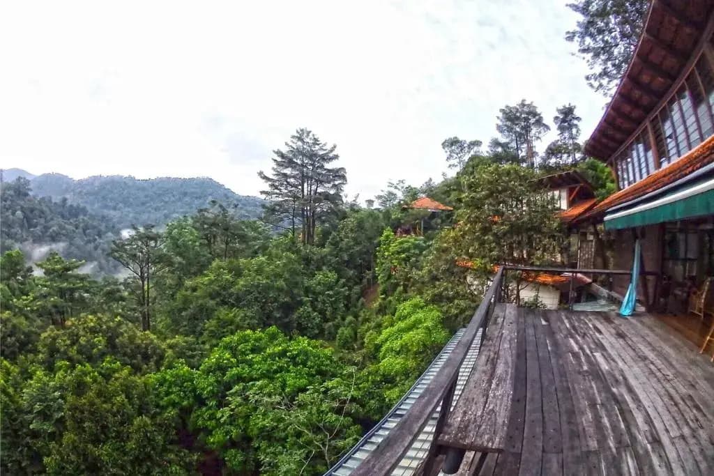 Langit Rimba Resort - photo 4