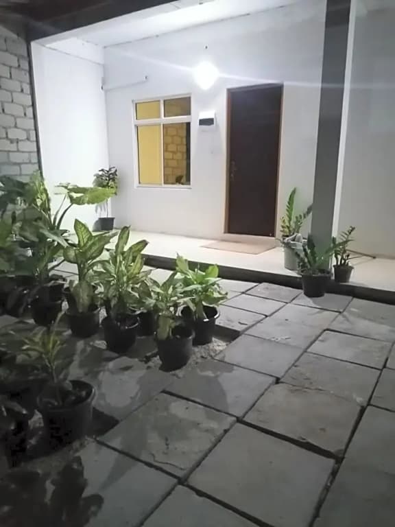 The Rose Garden House - photo 11