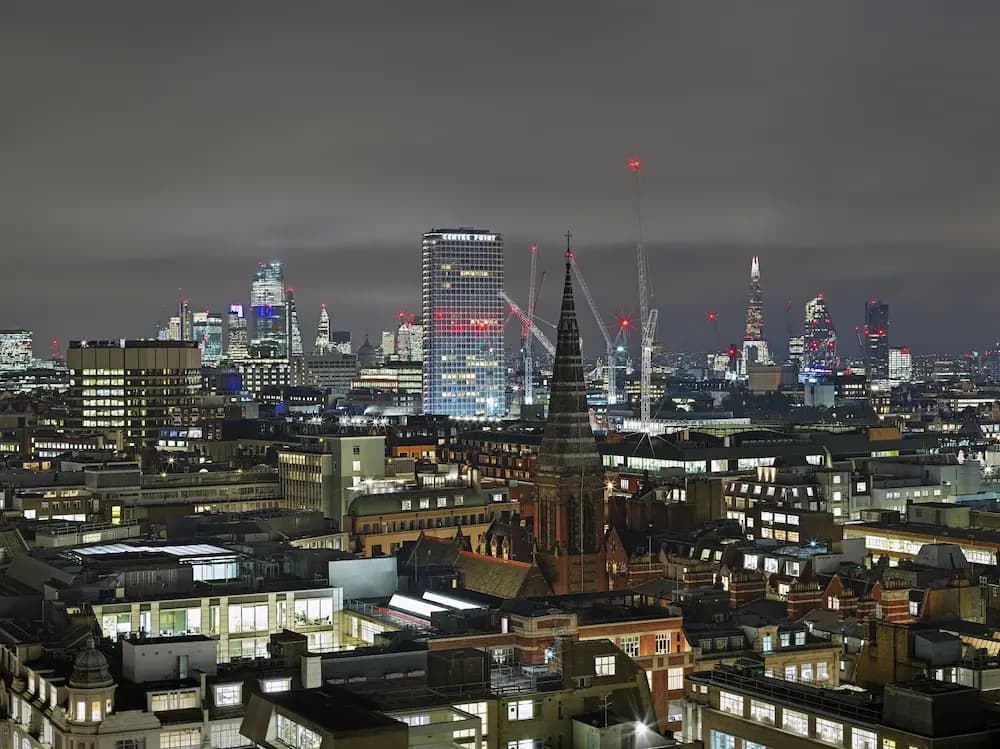Treehouse Hotel London - photo 19