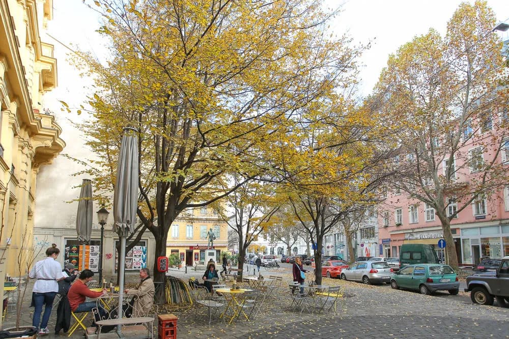 Vienna-Lodgings - photo 13