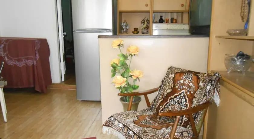 Dodo Guest House - photo 9