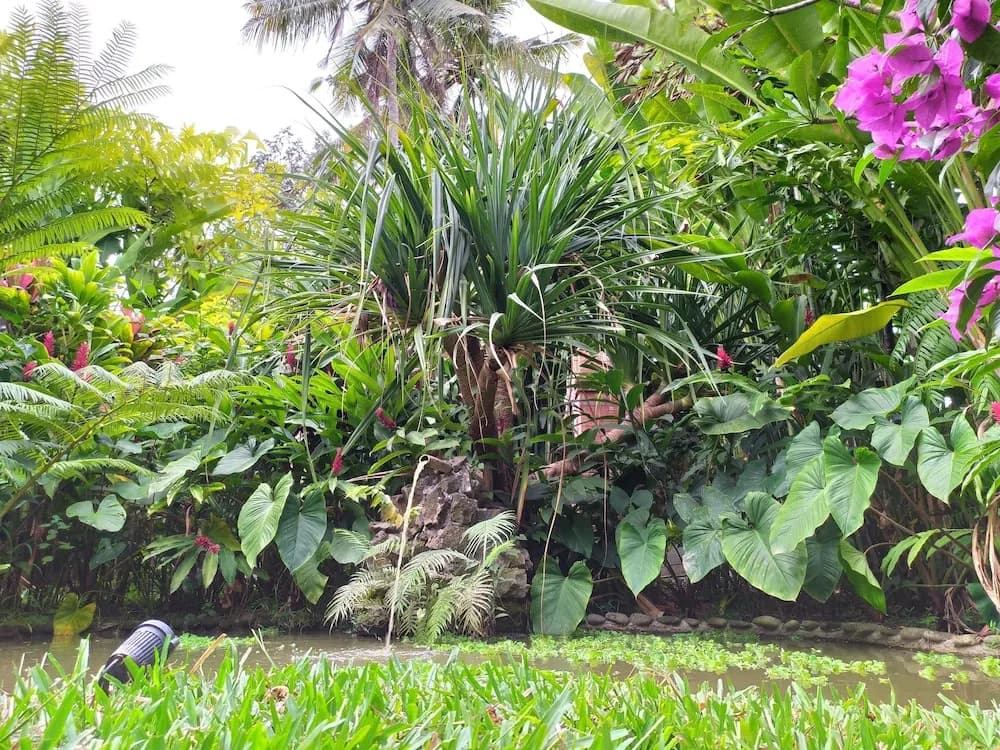 Gopala Villa Ubud - photo 10