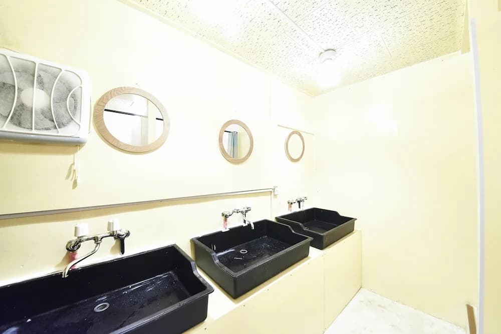 Tomori Guest House - photo 8