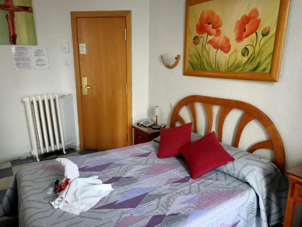 Hostal Continental - photo 6