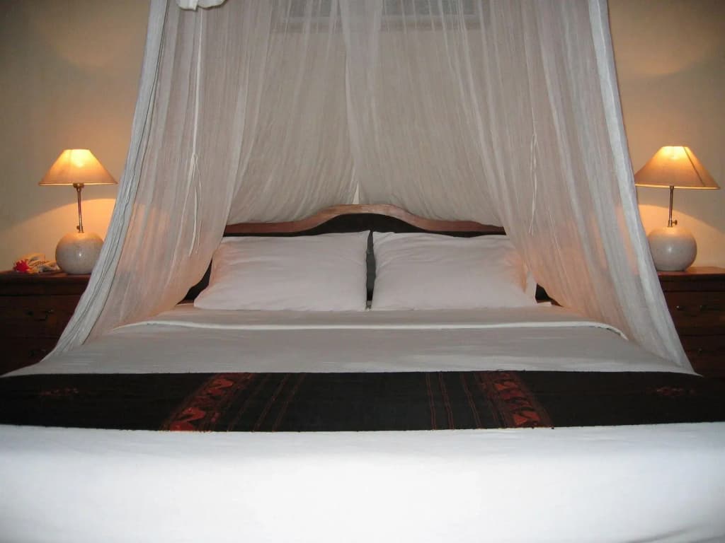 Putu Bali Villa and Spa - photo 2