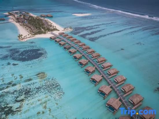 Club Med Finolhu Villas, Maldives - photo 1