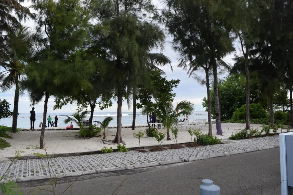 Transit Beach View - photo 13
