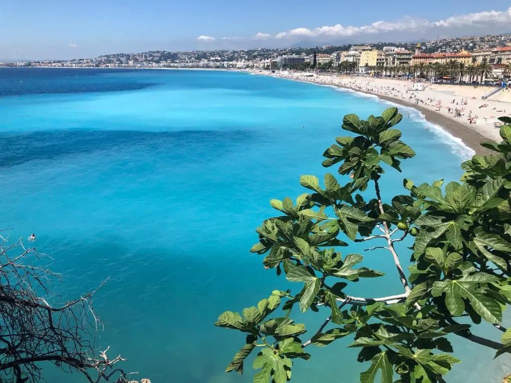 Appt à 150m de la mer - photo 10