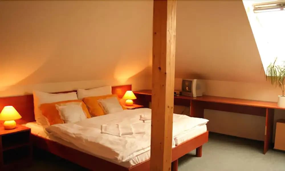 Hotel U Hvezdy - photo 5