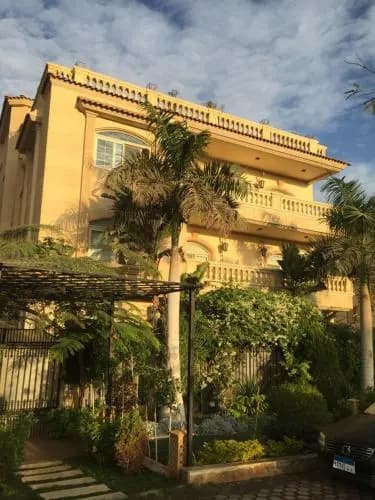 Sunny Studio in New Cairo - photo 1