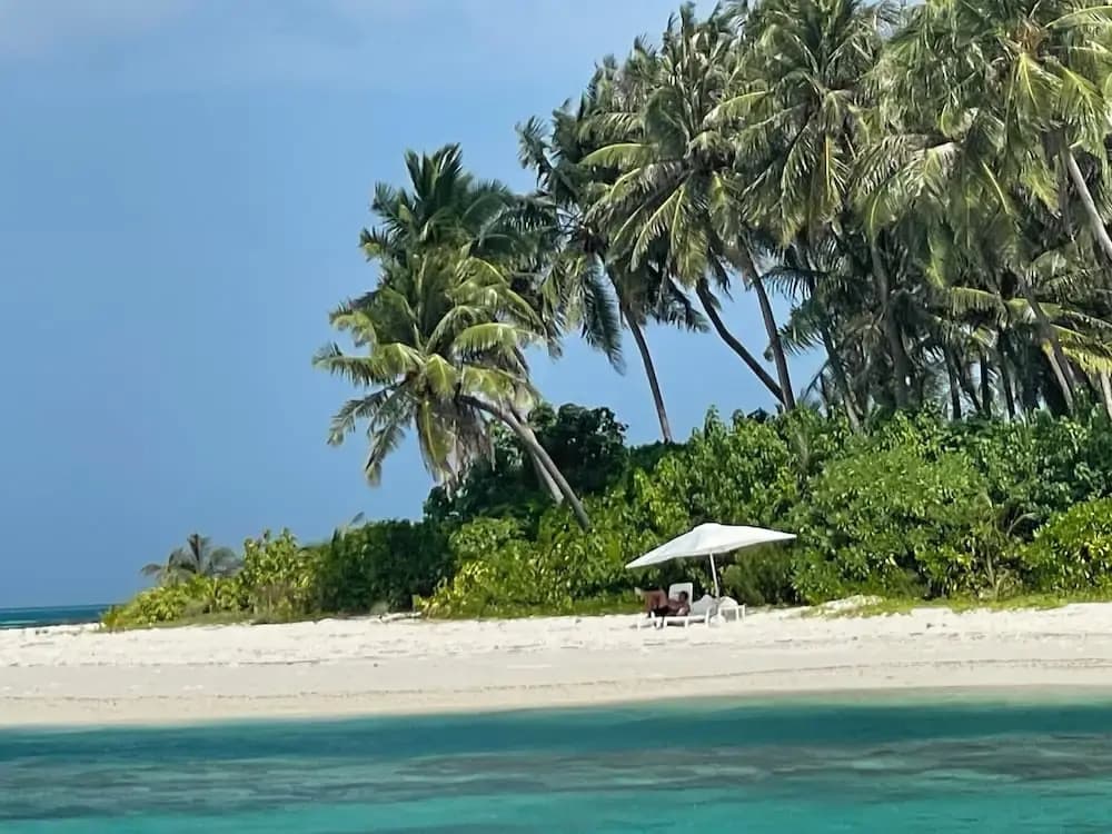 Mandhoo Inn - photo 19