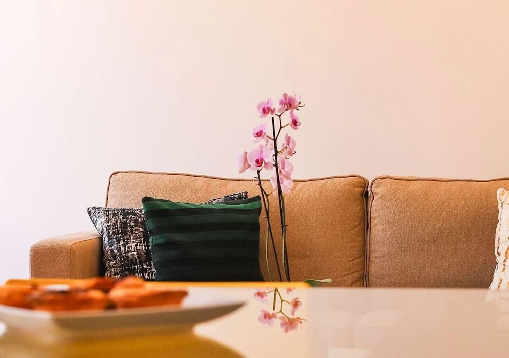 JOIVY Bright&cosy 1-bed Apt, moments from Avenida da Liberdade - photo 11