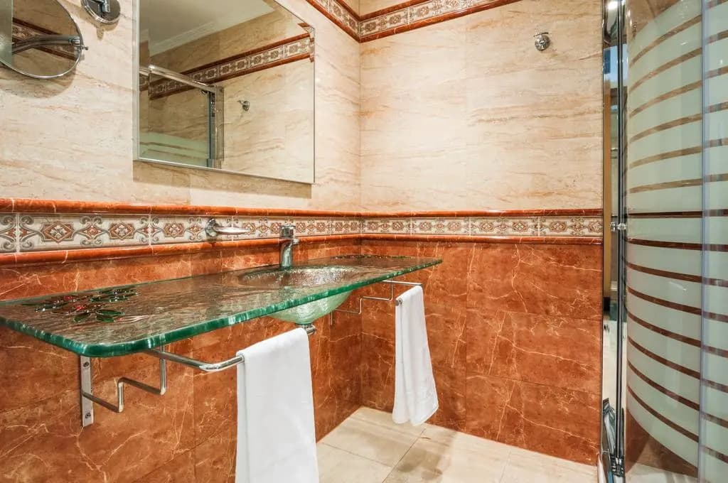 Hotel Julia Madrid - photo 20