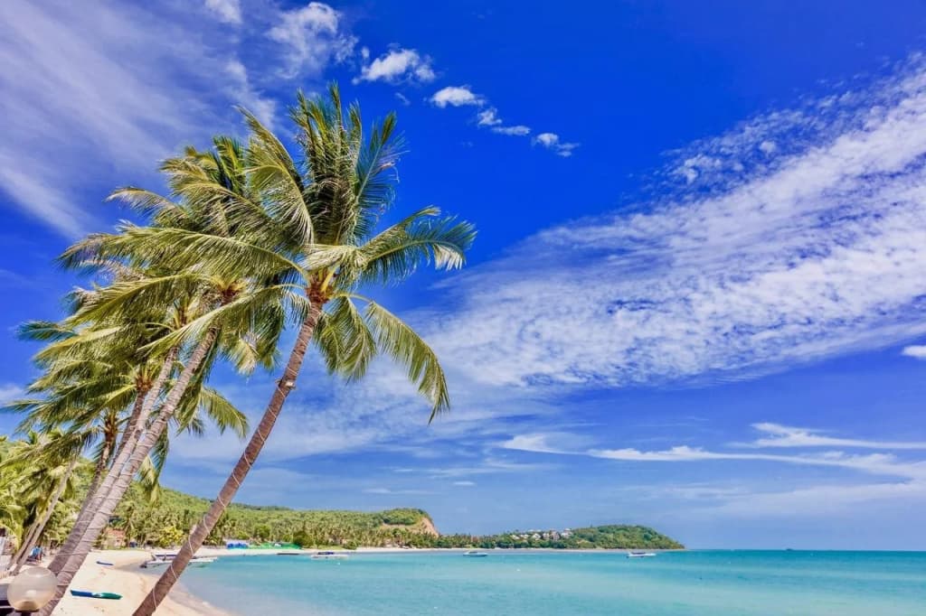 Kinnaree Resort - photo 14