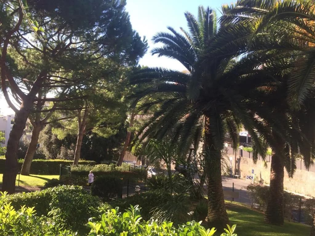 AZURELLE - photo 2