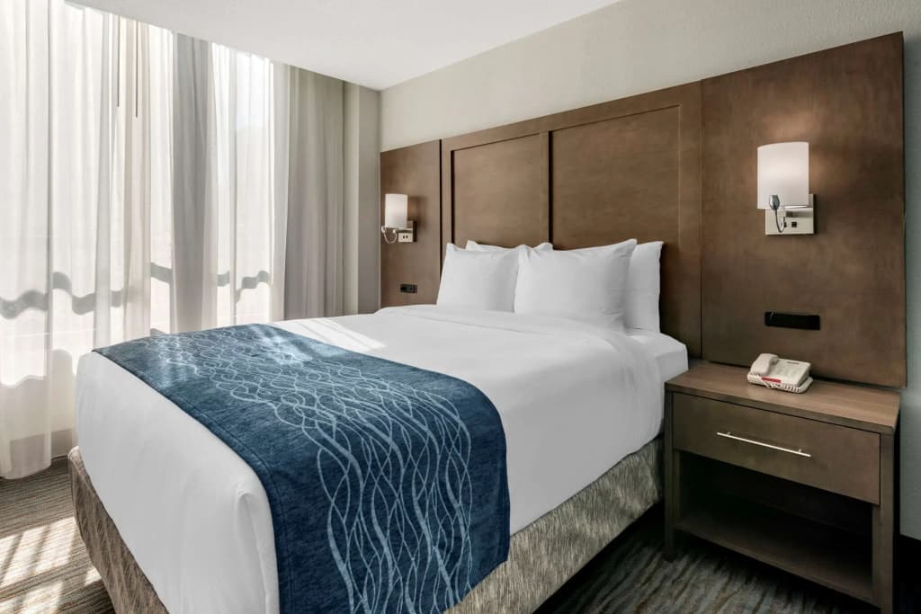 Comfort Inn & Suites Downtown Brickell-Port of Miami - photo 5