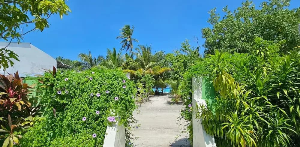 Kuri Himandhoo Inn - photo 20