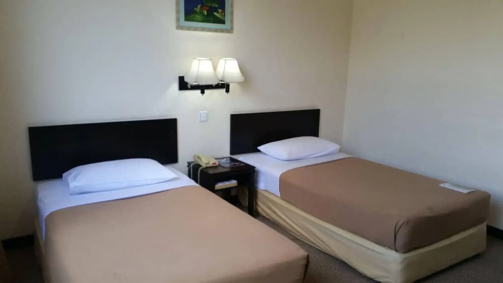 Carlton Holiday Hotel & Suites - photo 4