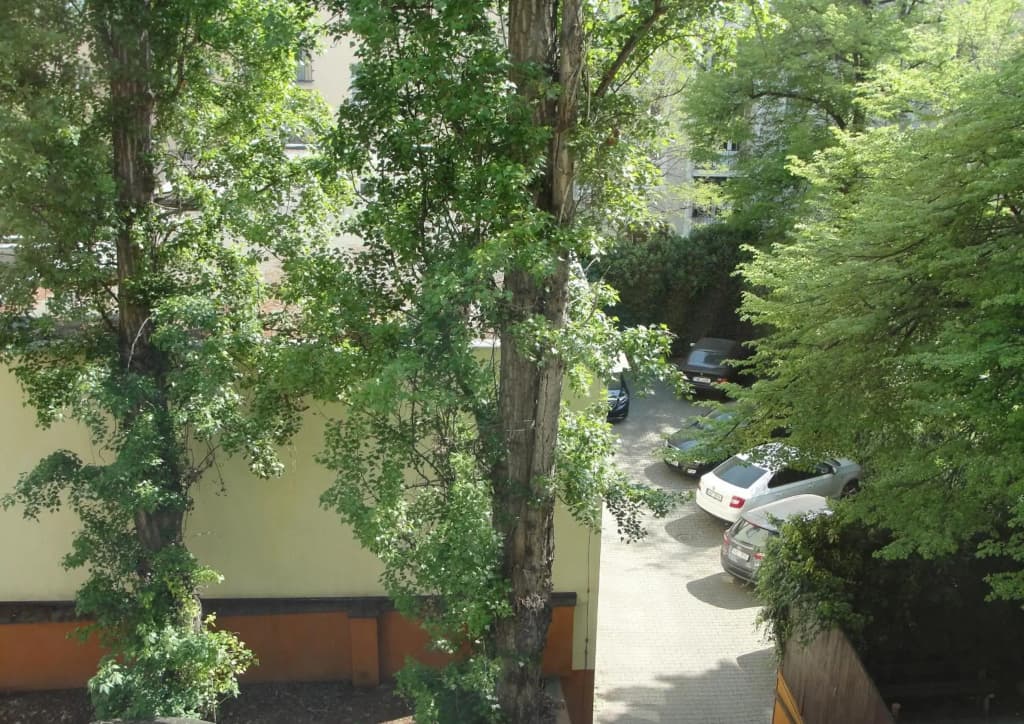 Letna luxury apartment - photo 6