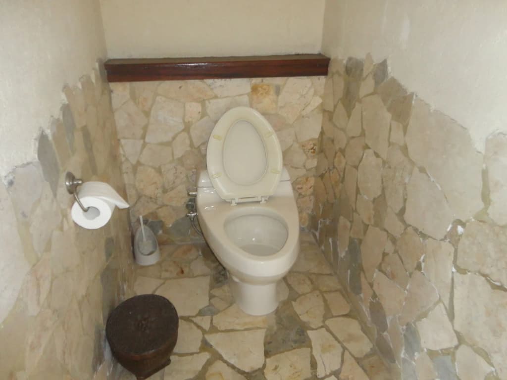 Puri Cantik Bungalow - photo 8