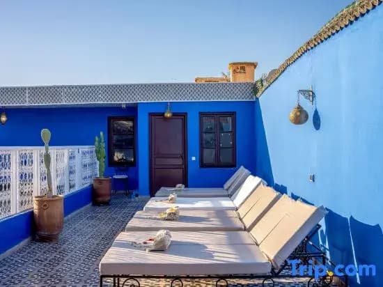 Riad Les Palmiers De La Medina - photo 11