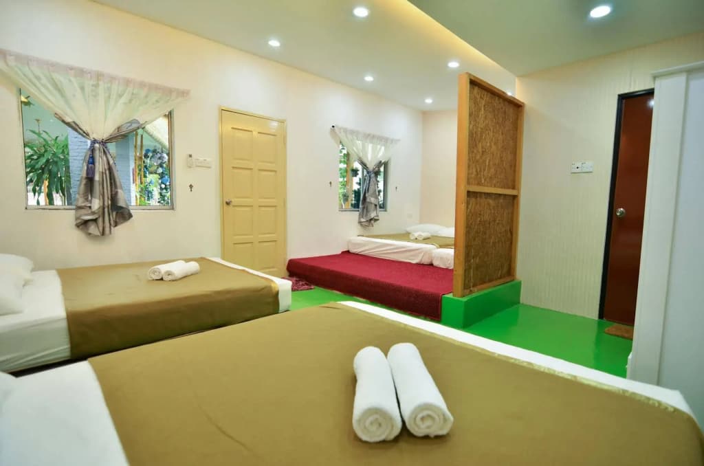 Camelia House - photo 5