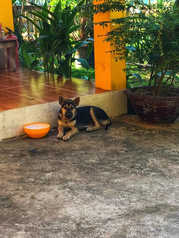 7 Stones Phu Quoc Guesthouse - photo 26