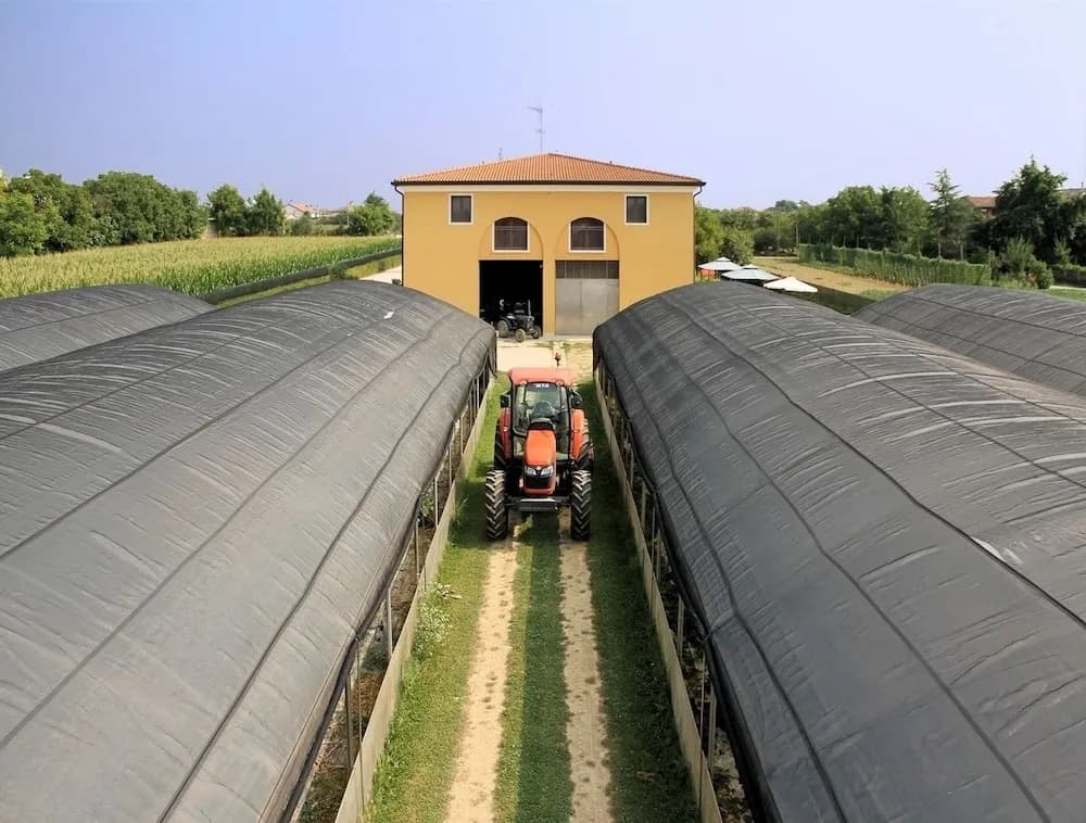 Agriturismo Il Melograno - photo 11