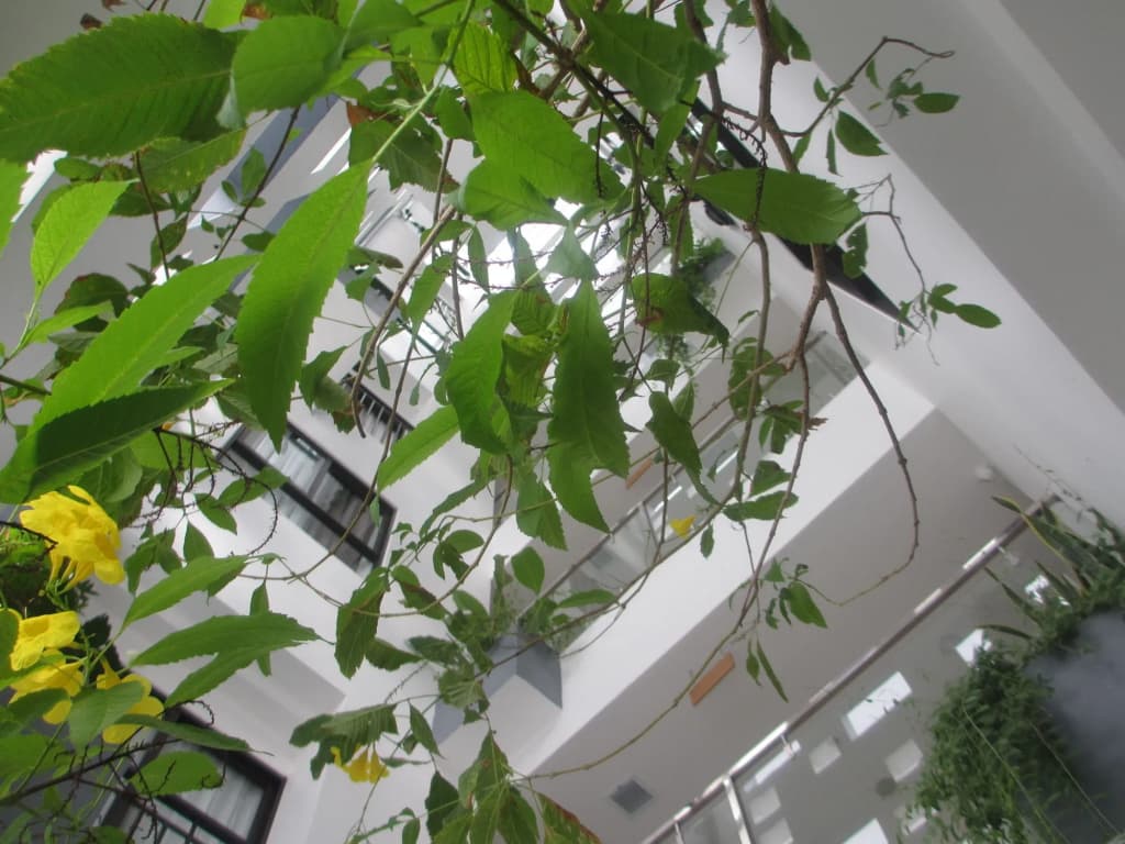 Ale Nhatrang Hotel - photo 1