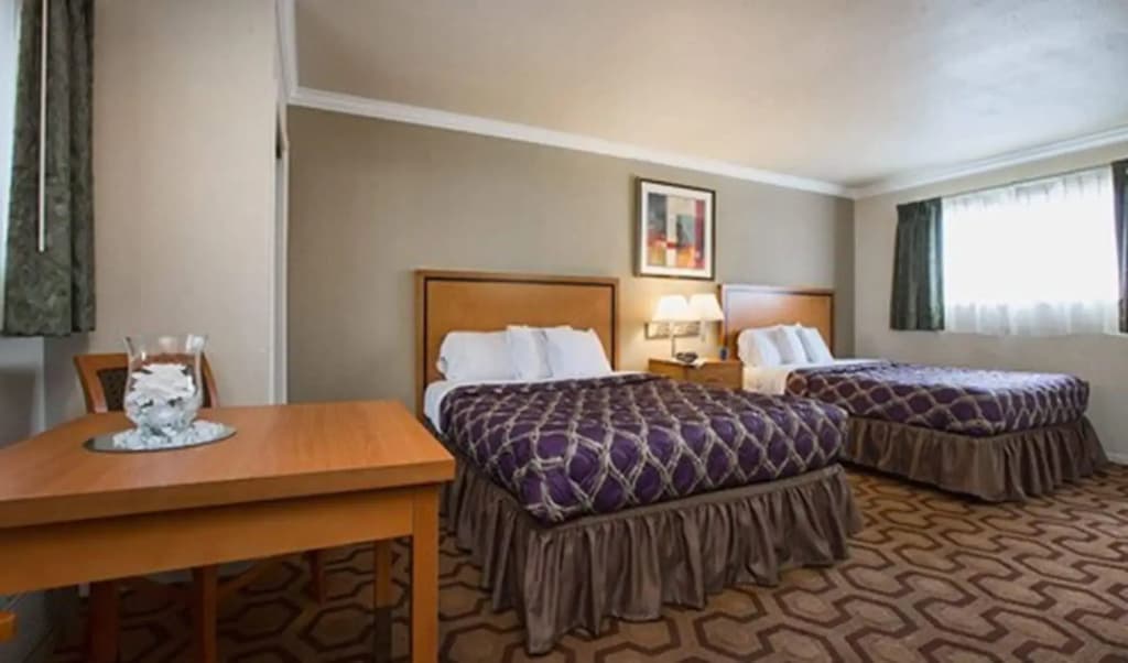 SOMA Park Inn – Civic Center - photo 18