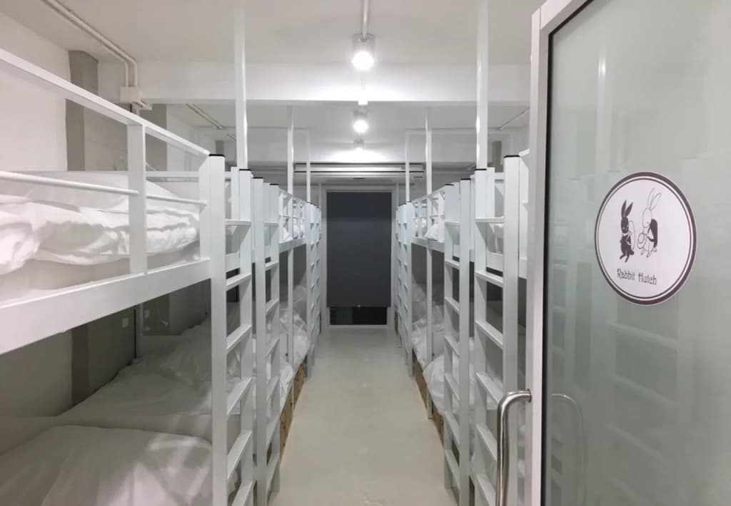 Rabbitat Hostel - photo 5