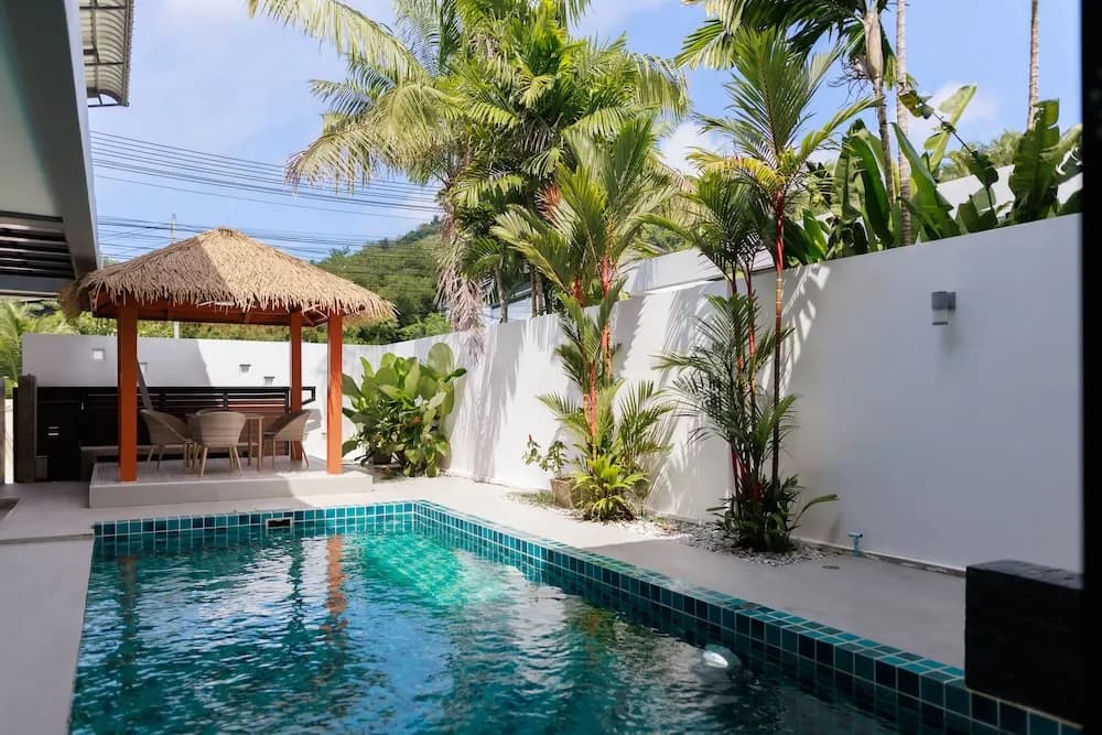 Paradise Found - photo 11
