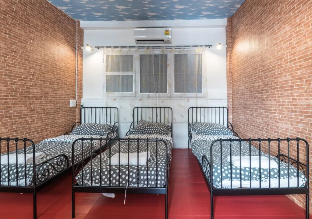 Tiger Lily Hostel - photo 3