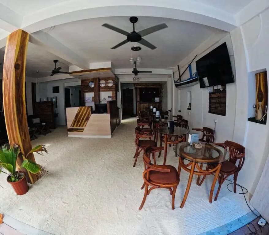 Velaa Vani - The Turtle Hive Maldives - photo 12