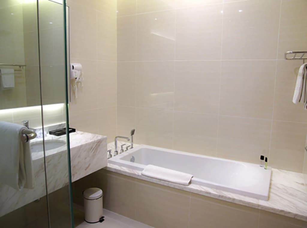 Puri Denpasar Hotel - photo 10