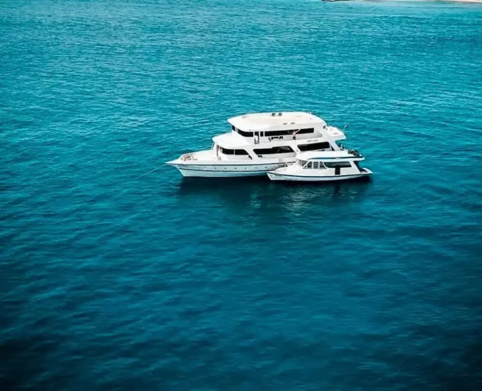 The Maverick Surf and Dive Boutique Hotel - photo 32