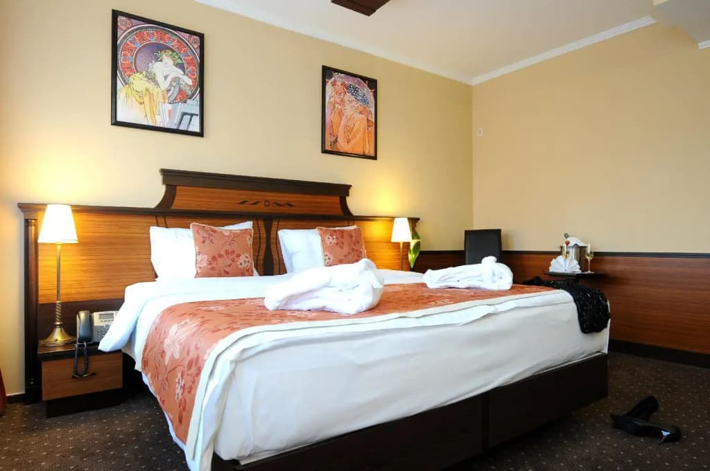 Residence Baron Hotel - photo 26
