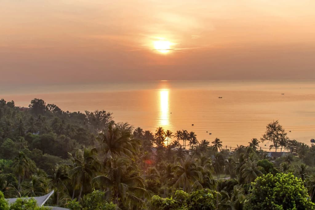 Samui Reef View Resort - photo 21