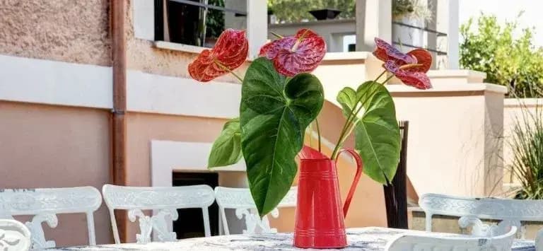 Appia Antica Resort - photo 8