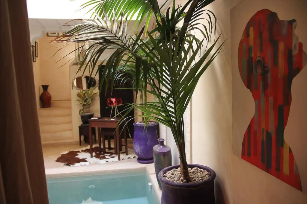 Riad Mimoune - photo 13