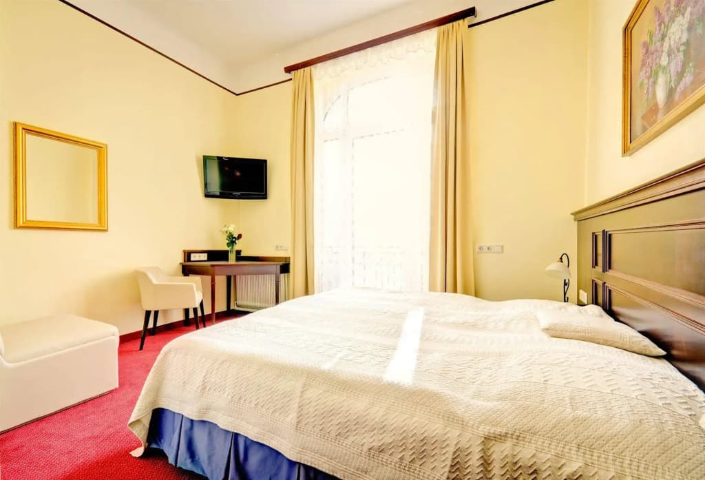 Hotel Viktoria Schönbrunn - photo 3