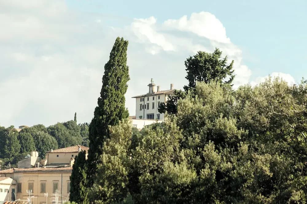 Mamo Florence - Francesco Apartment - photo 1