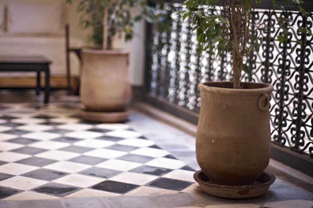 Riyad El Cadi - photo 14