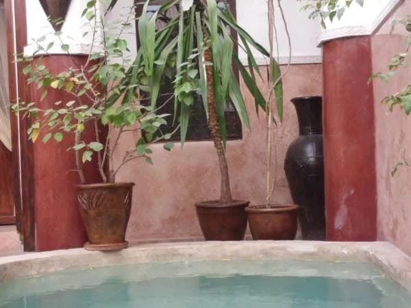 Ryad Dar Ganou - photo 17