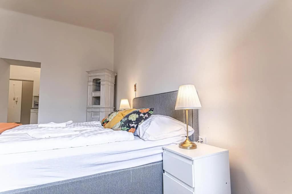 Gorgeous 1BR Apt near AKH Hospital - photo 3