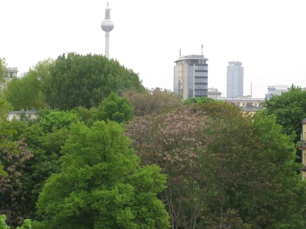Ferienwohnungen Familie Böckmann - photo 14